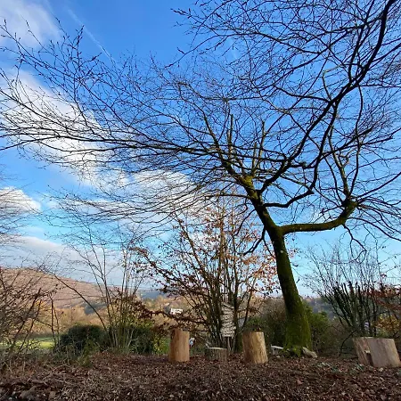 Nidwazo - & Bed & Breakfast Trooz