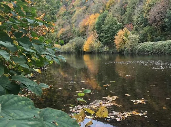 Alojamento de Acomodação e Pequeno-almoço Nîdwazô - Ecolodge&maison D'hôtes 4*